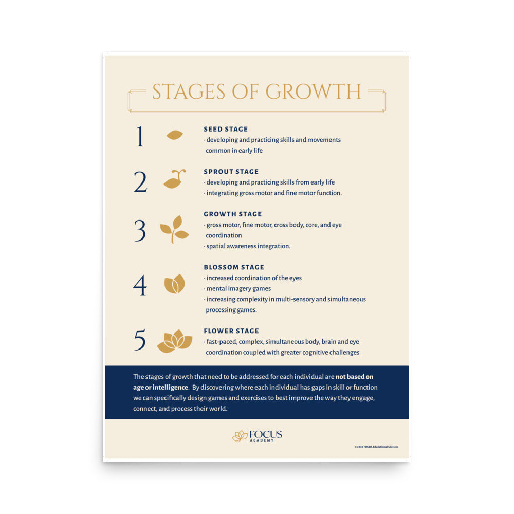 Stages of Growth